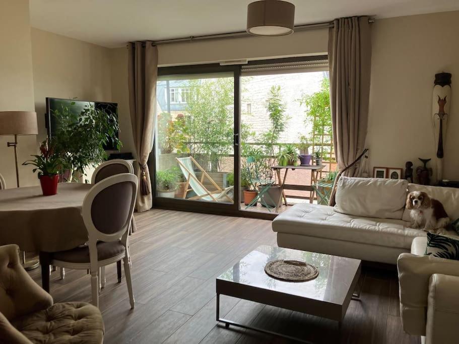 Apartment Eiffel Tower View - Balcony - Trocadero Paris